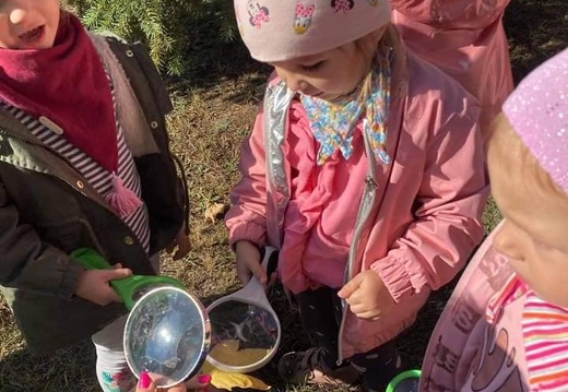 img-projekt edukacyjny mali badacze12