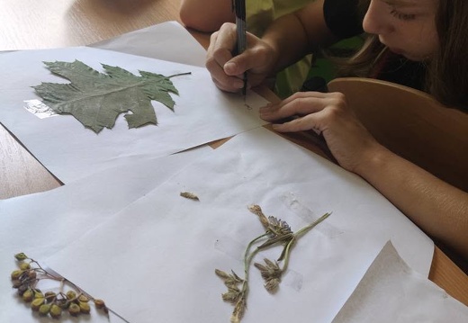 20250623 ekopracownia16