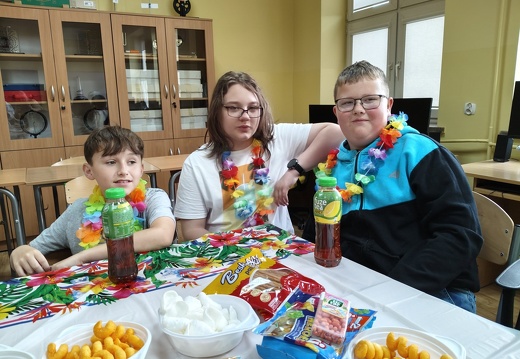 20250611 piknik04